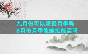 九月份可以嫁接月季吗 8月份月季能嫁接能活吗